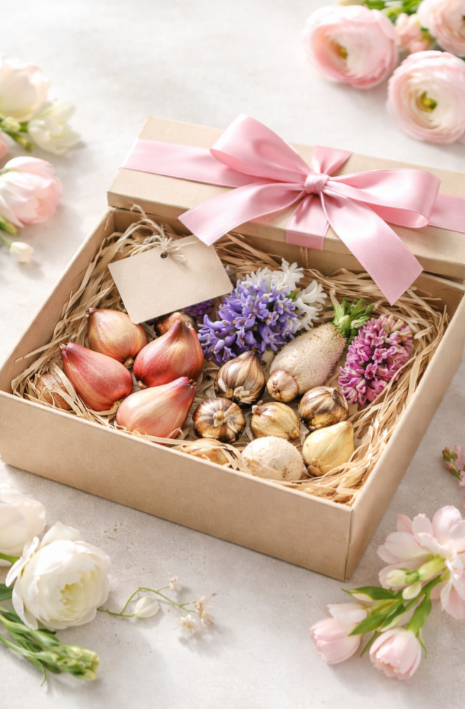 Елегантен подарък