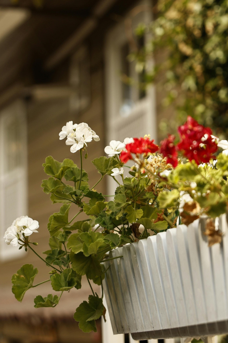 Балкон в цвят